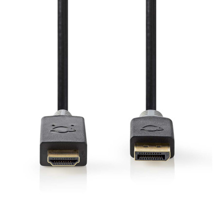 Câble DisplayPort vers HDMI - 2 m, 4K@30Hz, Plaqué Or, Anthracite