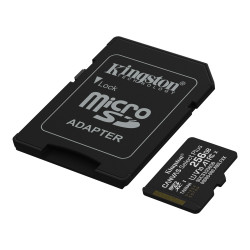 Kingston Canvas Select Plus 256 Go – Carte microSD UHS-I
